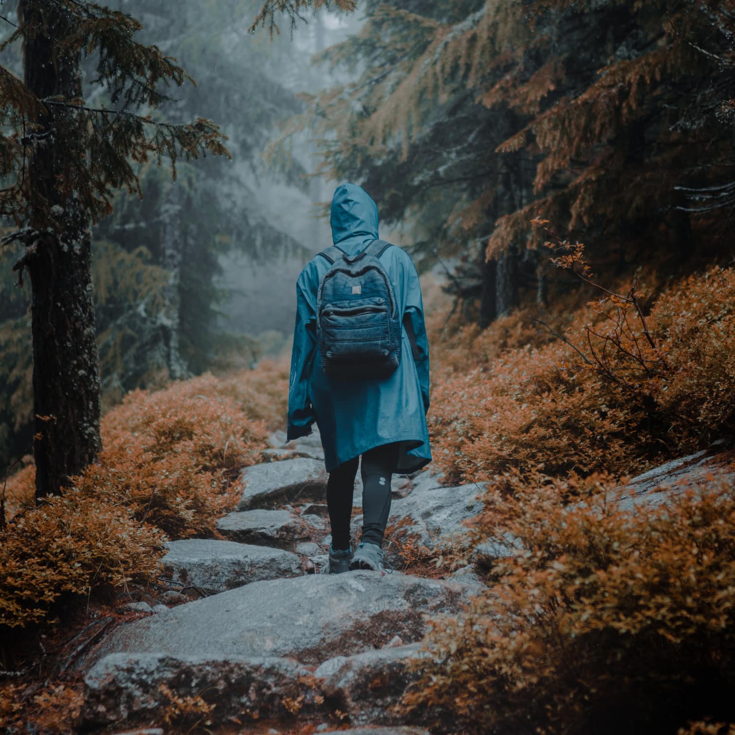 decorative image of a woman walking in the woods while its raining. Image by Wirestock / Freepik